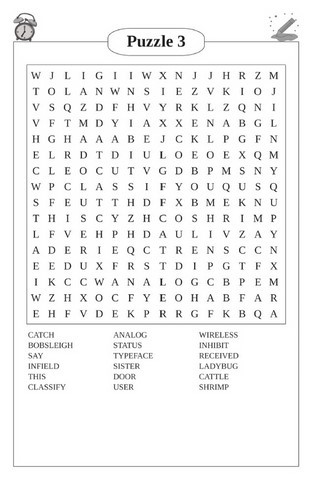 word search puzzle book